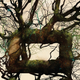 Image for article titled Read an excerpt from Rob Ziegler's new biotech apocalypse novel Seed